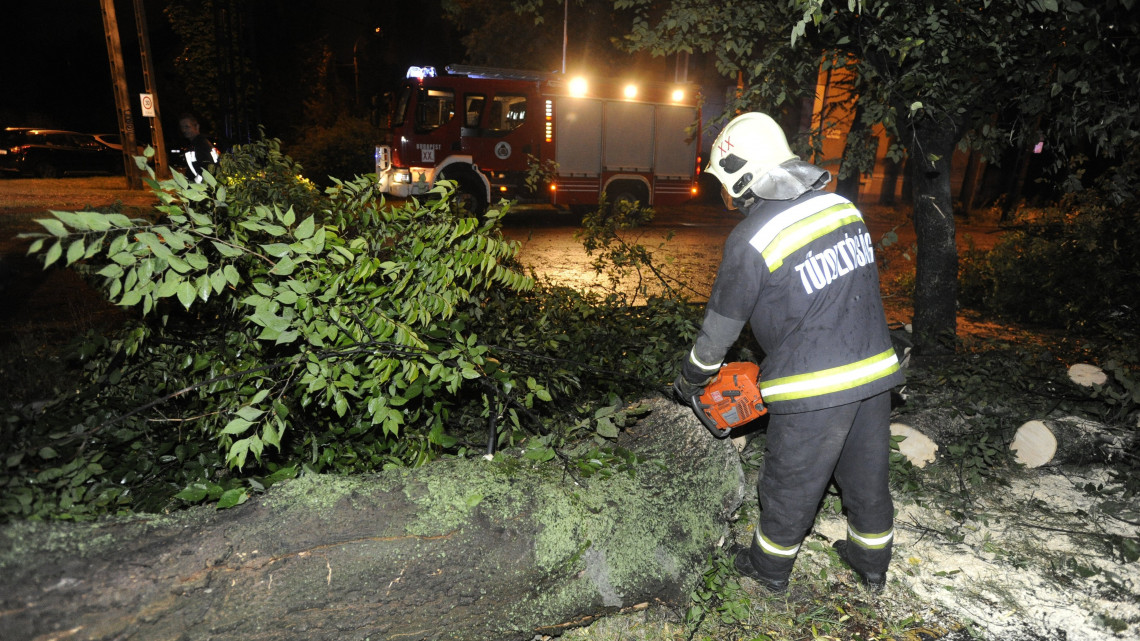 Viharban kidőlt fát fűrészel darabokra egy tűzoltó Budapesten 2018. szeptember 1-jén. Országszerte a viharos szél okozott károkat, jellemzően kidőlt fák, leszakadt faágak miatt riasztották a tűzoltókat. Személyi sérülésről az OKF-hez nem érkezett bejelentés.