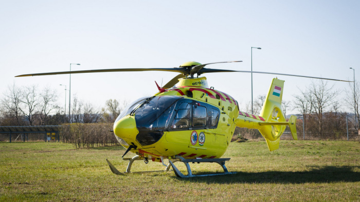 Brutális kutyatámadás Püspökladányban – mentőhelikoptert hívtak