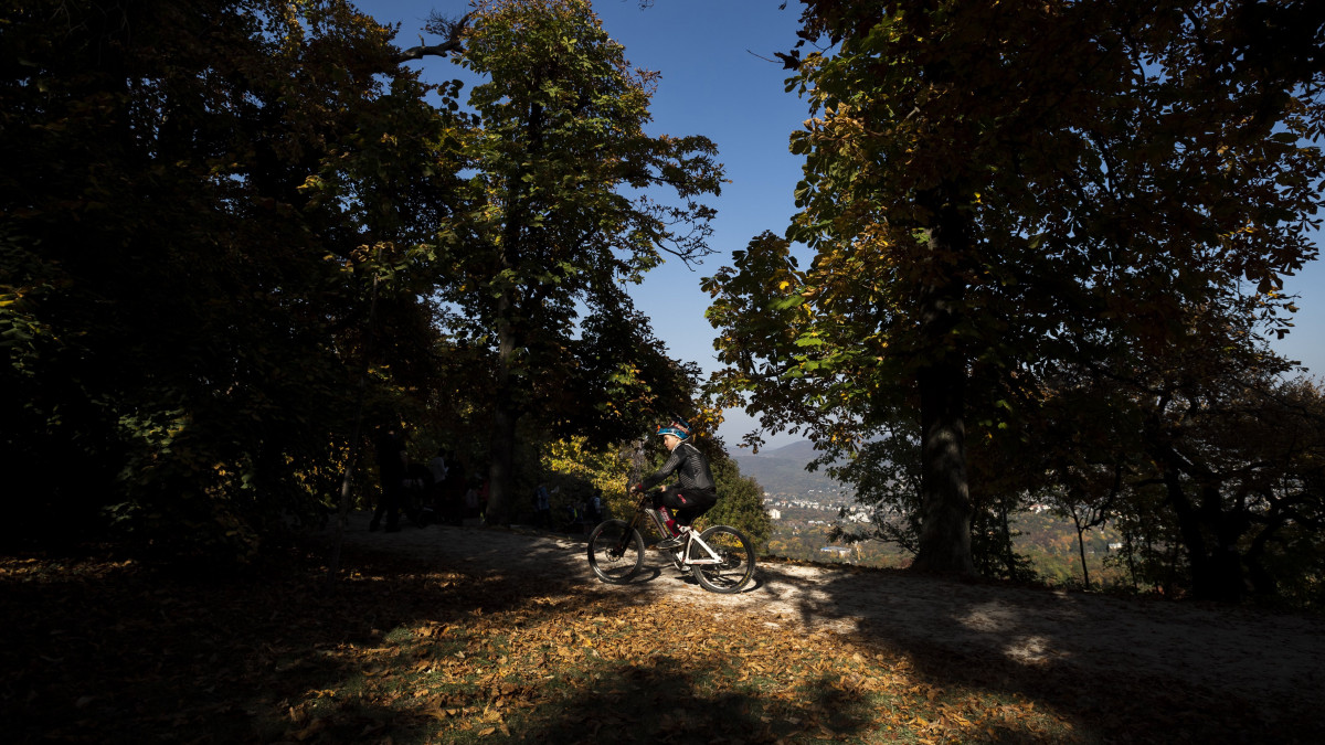 Kerékpáros a budapesti Normafánál, a Svábhegyen, a János-hegy közelében 2018. október 13-án.