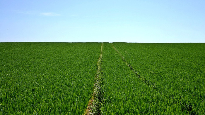 Az Agrárminisztérium szerint az európai mezőgazdaság halálos ítélete is lehet a Green Deal
