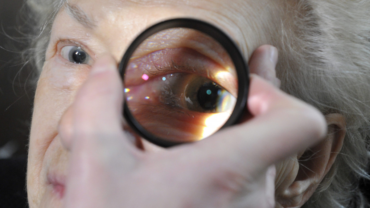 Látásvizsgálatot végeznek egy asszonynál a Semmelweis Egyetem klinikai tömbjének könyvtárában, ahol az áprilisban induló országos szemészeti és cukorbetegség-szűrés alkalmából tartott bemutatót az egyetem Szemészeti Klinikájának szemész szakorvosa 2015. március 17-én. 
