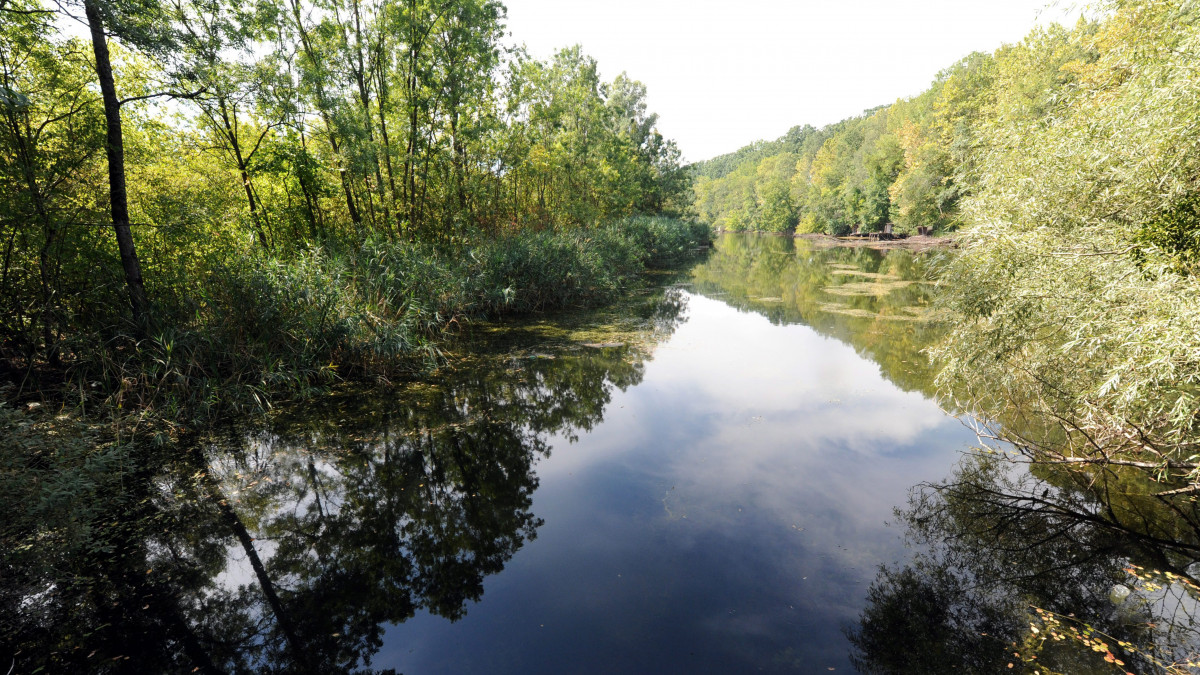 A Duna holtága Béda-Karapancsa tájegységnél 2012. szeptember 11-én. Az ENSZ Nevelésügyi, Tudományos és Kulturális Szervezete, az UNESCO 2012 júliusában elfogadta a Dráva horvát és magyar oldalának bioszféra rezervátummá jelölését, amely jelentős lépés a Dráva, a Duna és a Mura folyó mentén, öt ország területére kiterjedő bioszféra rezervátum kialakításához, amely magába foglalná a Duna-Dráva Nemzeti Park Dráva és Duna menti területeit, a Béda-Karapancsa tájegységet is.