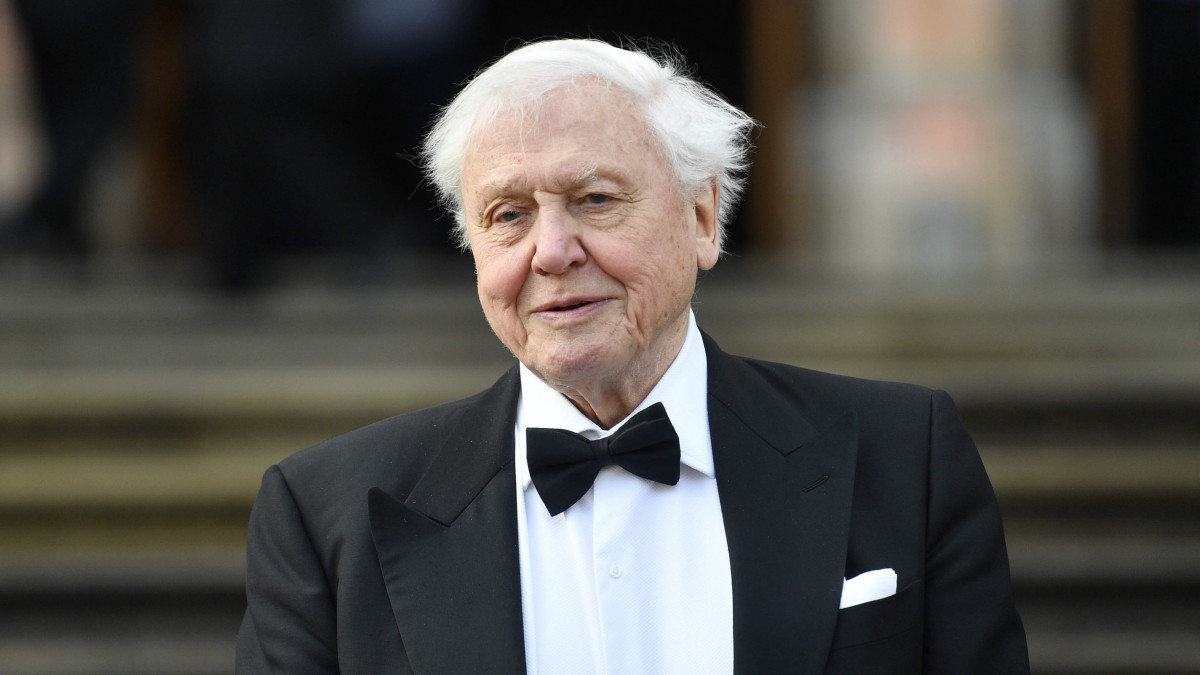 Sir David Attenborough brit természettudós és ismeretterjesztő dokumentumfilmes az Our Planet (A mi bolygónk) című új televíziós dokumentumfilm-sorozat világbemutatóján a londoni Természettörténeti Múzeumnál 2019. április 4-én. Attenborough a sorozat narrátora.