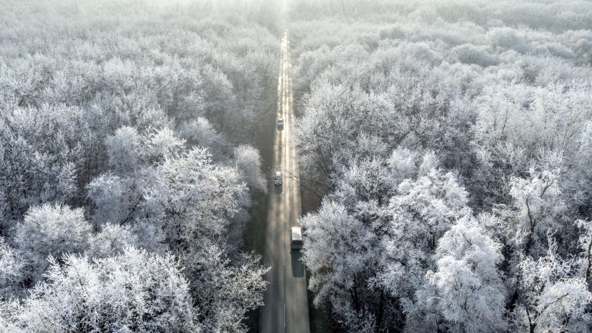 Járművek közlekednek zúzmarás fák között Debrecen és Hosszúpályi közötti úton 2020. január 16-án.