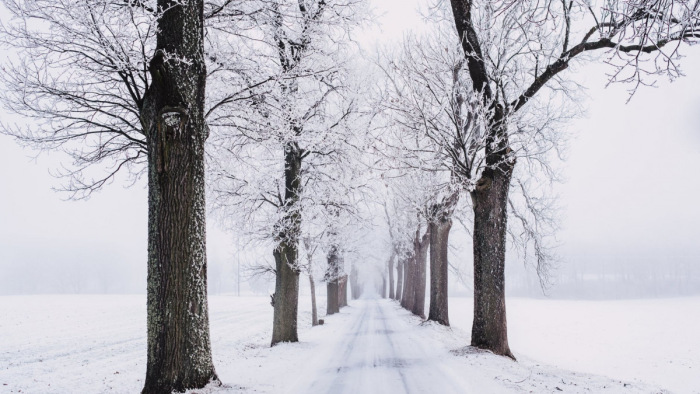 Magyar helyzetjelentés: 21 cm hó és még mindig esik - fotók