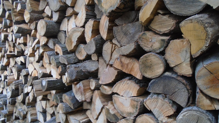 Óvatosan a tűzifa-vásárlással – hatósági tippek a csalók ellen