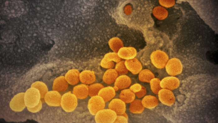 Hétre emelkedett a koronavírus-fertőzöttek száma itthon