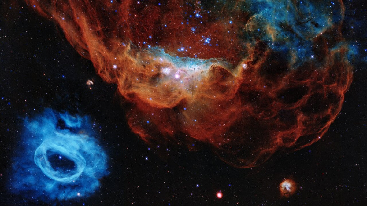 This image is one of the most photogenic examples of the many turbulent stellar nurseries the NASA/ESA Hubble Space Telescope has observed during its 30-year lifetime. The portrait features the giant nebula NGC 2014 and its neighbour NGC 2020 which together form part of a vast star-forming region in the Large Magellanic Cloud, a satellite galaxy of the Milky Way, approximately 163 000 light-years away.