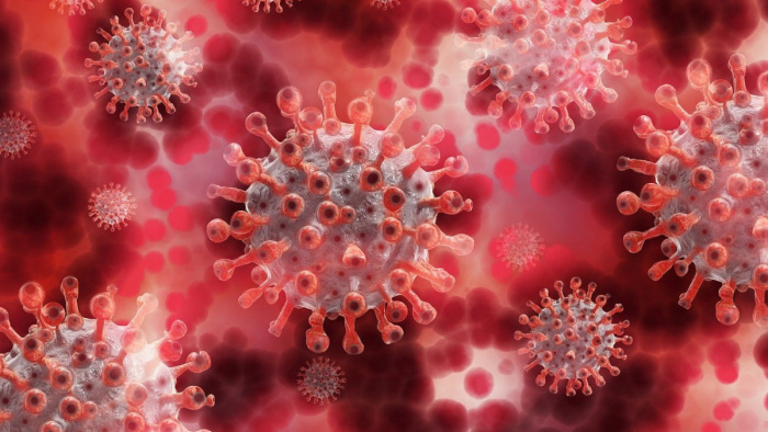 Koronavírus-járvány: besegítenének a magánegészségügyi szolgáltatók