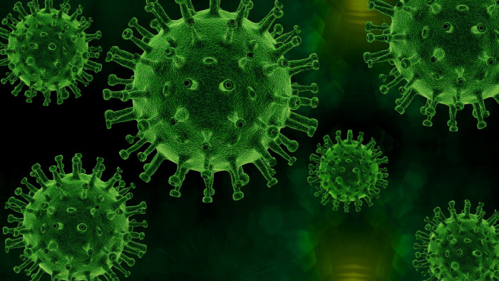 A pollenallergiásokra sokkal veszélyesebb a koronavírus
