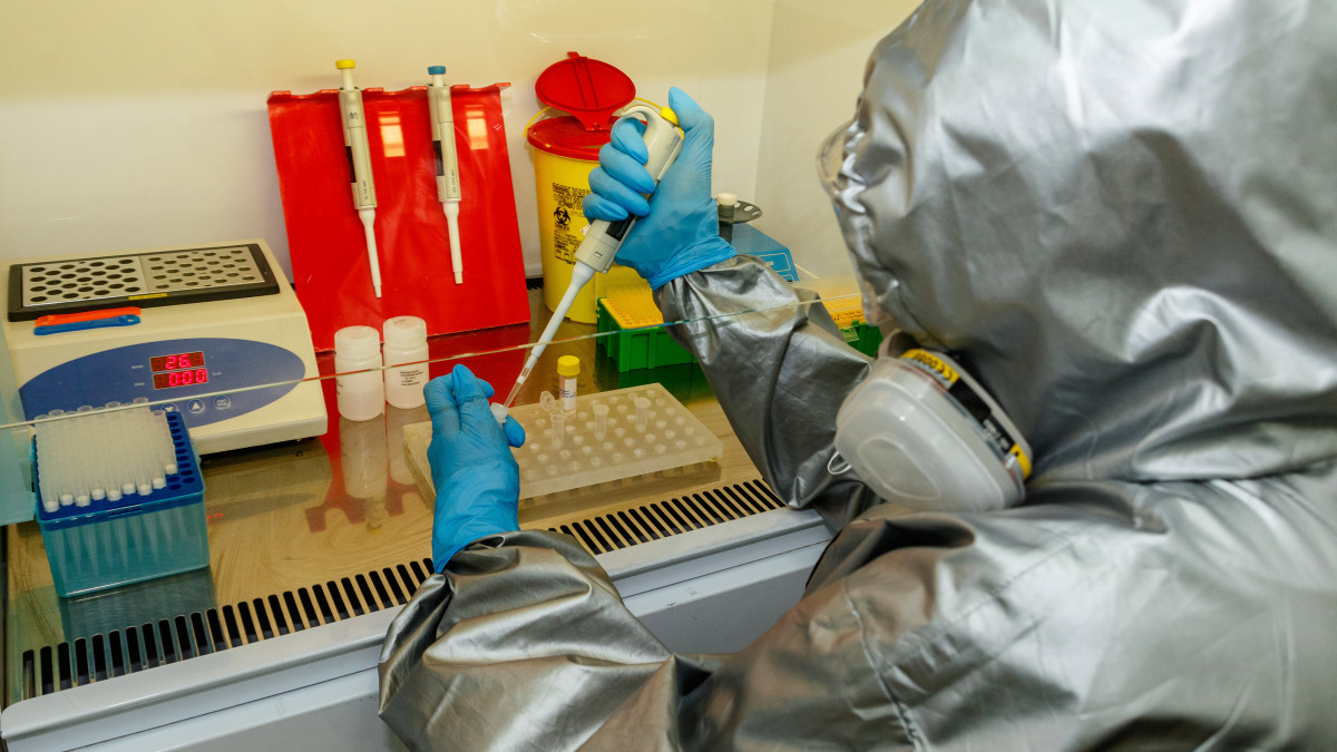 Koronavírus-teszthez beérkezett mintákat vizsgál egy orvos a Kárpátaljai Megyei Népegészségügyi Központ laboratóriumában Ungváron 2020. május 8-án.
