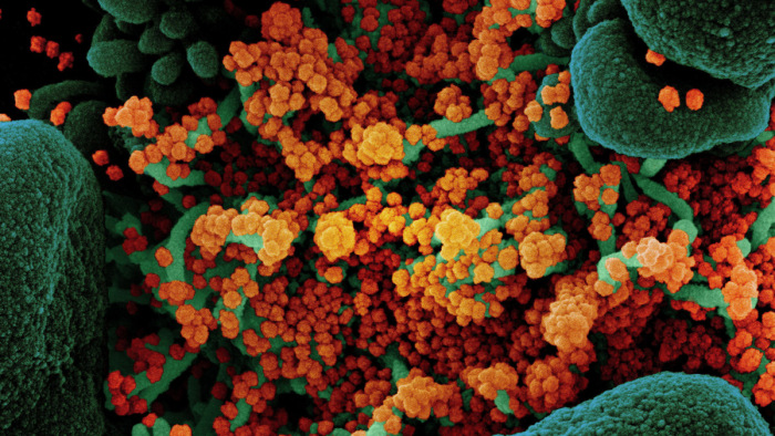 Újabb információk a koronavírus fertőzőképességéről