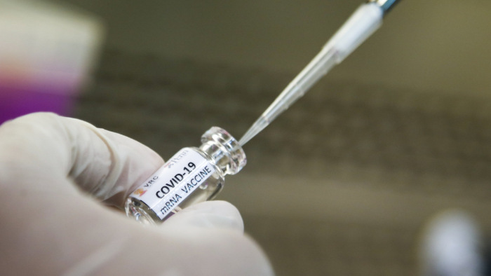 Virológus: a koronavírusnál nincs értelme nyájimmunitásban gondolkodni