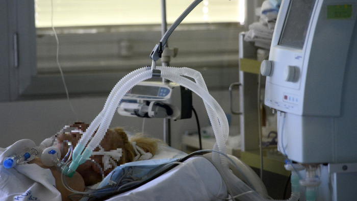 Müller Cecília: szinte komplett családok vonulnak kórházba