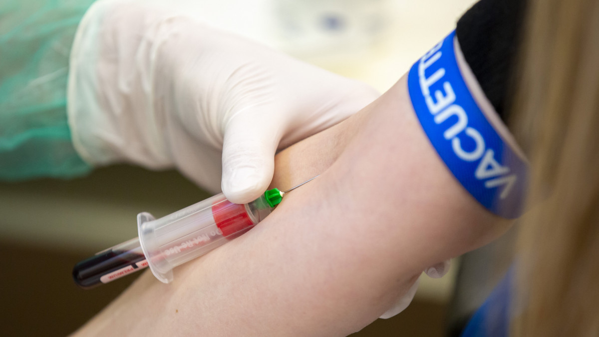 Koronavírusteszthez vesznek vért egy nőtől a Pécsi Tudományegyetem egyik mintavételi pontján, a nagykanizsai Kanizsai Dorottya Kórházban 2020. május 12-én. A koronavírus-szűrőprogramban a Semmelweis, a debreceni, a szegedi és a pécsi egyetem vesz rész. A programba 17 ezer 780 embert hívtak meg véletlenszerűen kiválasztva. Ők életkorra, nemre és regionálisan is reprezentálják a magyar társadalmat.