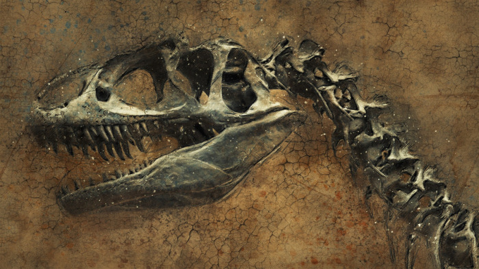 Fura dinoszauruszanyát ástak elő Kínában