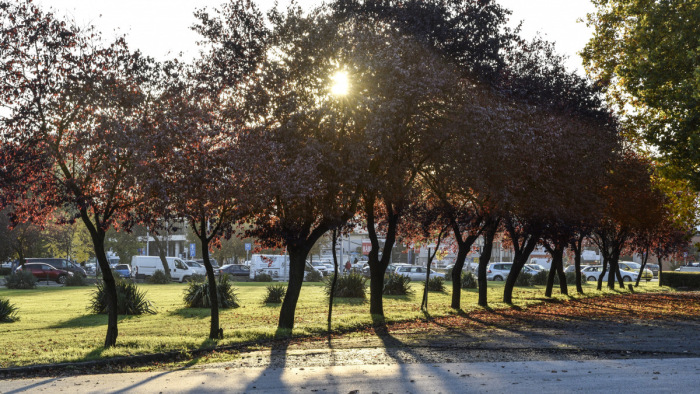 Új életre keltené a Népligetet a főváros