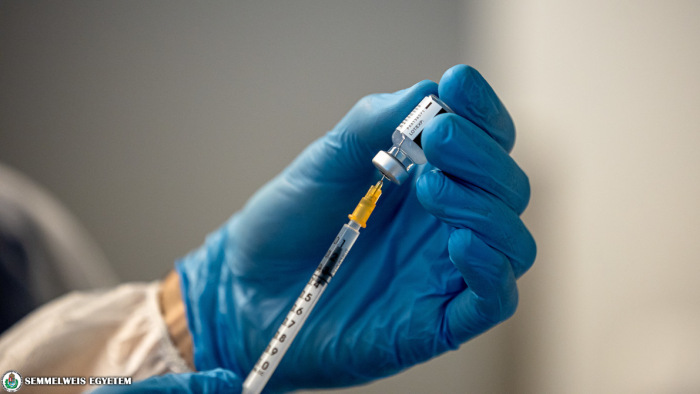 Sikeresen teszteltek DNS-vakcinát