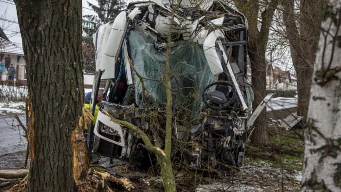 Kettévágta a csattanó Volánbusz elejét a fa törzse – fotók