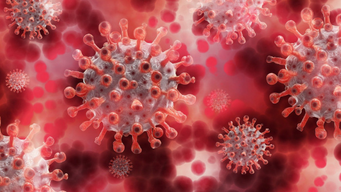 Biztató eredmény a koronavírus-fertőzésen átesettek védettségéről
