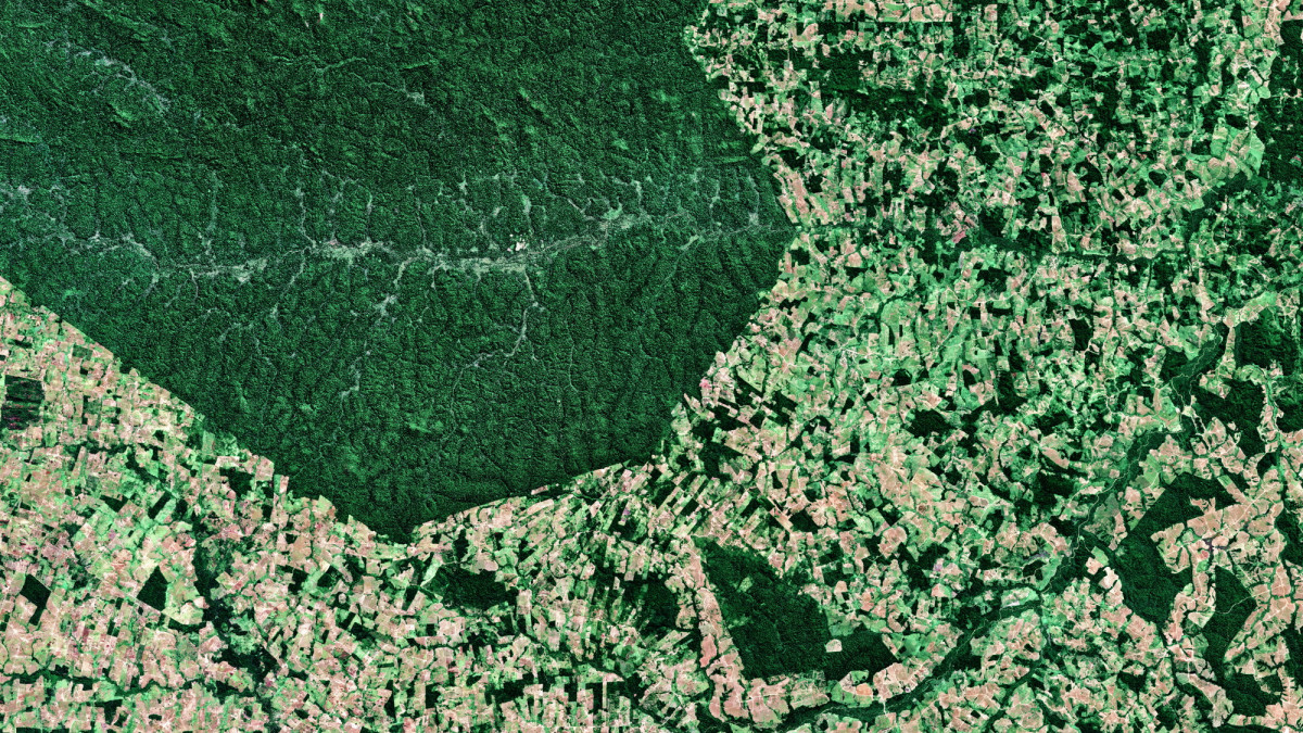 AMAZON, BRAZIL - JULY 20, 2017: Deforestation, South of the Parakana Indigenous Reserve in the State of Para, Brazil. (Photo by Gallo Images / Orbital Horizon / Copernicus Sentinel Data 2018)