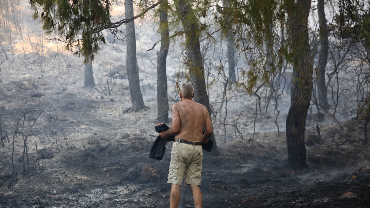 Erdőtűzben leégett területet néz egy helybeli férfi az Athén közelében fekvő Thrakomakedonesz térségében 2021. augusztus 7-én. A görög fővárosban veszélyesen rossz minőségű a levegő a környéki erdőtüzek miatt.