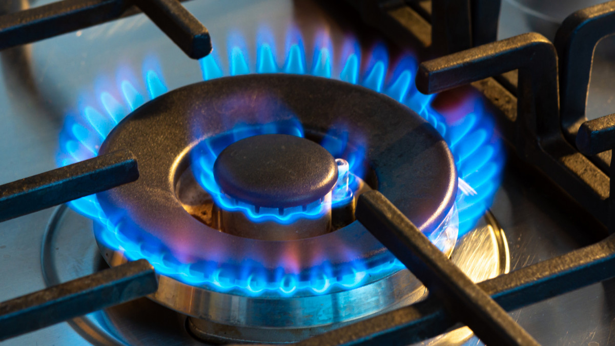 Gas burning with blue flames on the burner of a gas stove. Concept of carbon footprint and price of natural gas on the market