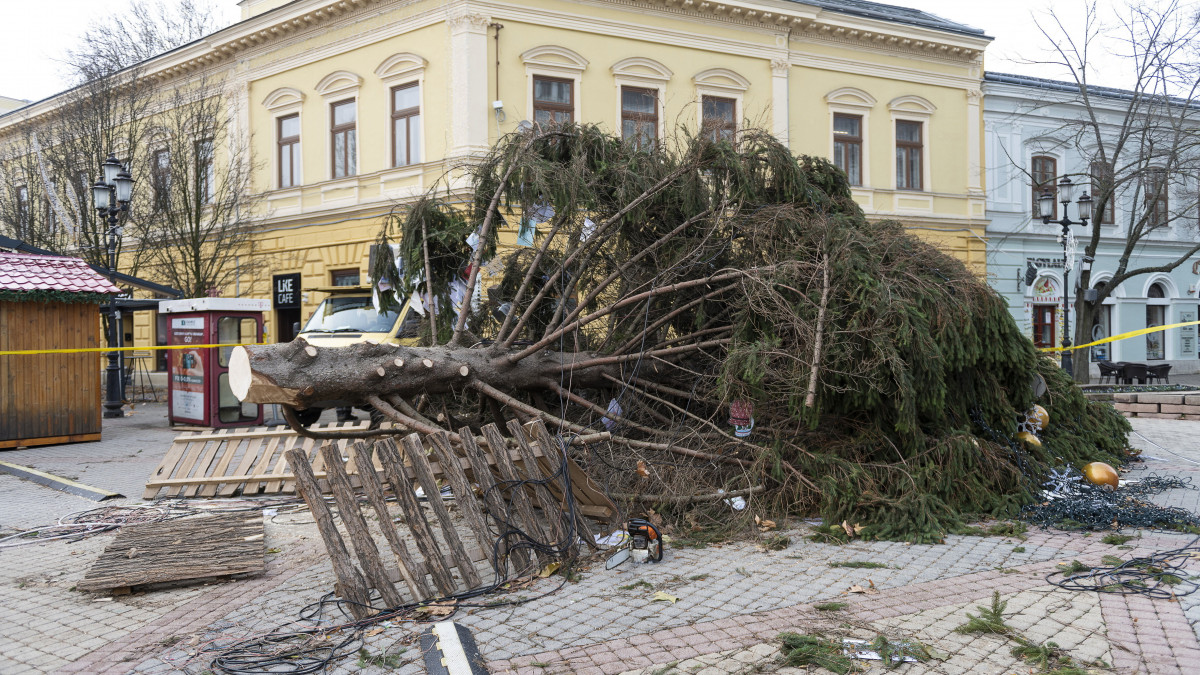 A város karácsonyfája a nyíregyházi Kossuth téren 2021. december 12-én, miután felborult a szélviharban.