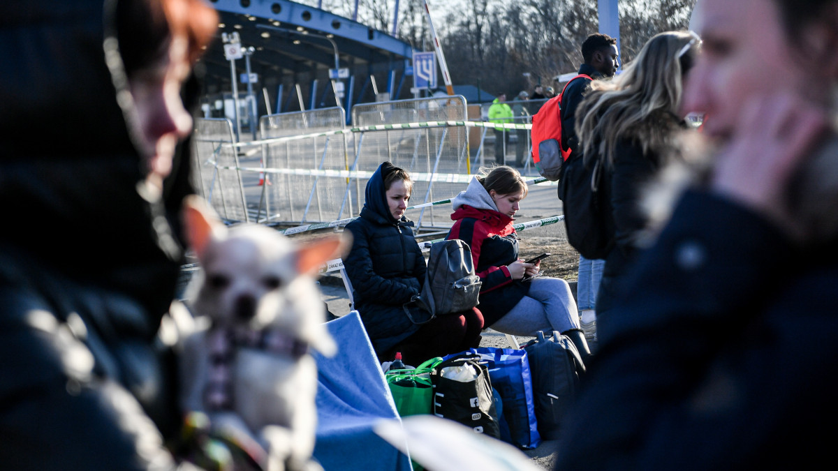 Vysne Nemecke, Russias invasion of Ukraine. Entry of refugees from Ukraine through the Vysne Nemecke border check point. In the photo refugees with their dog. (Photo by: Nicola Marfisi/AGF/Universal Images Group via Getty Images)