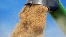 Újra él az ukrán agrárimport korlátozása