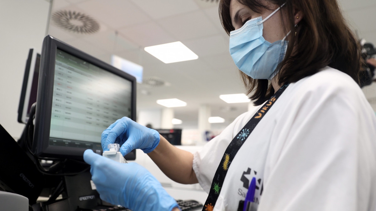 MADRID, SPAIN - MAY 31: A laboratory technician works with PCR tests at the Microbiology Laboratory of the Gregorio MaraĂąon public hospital, May 31, 2022, in Madrid, Spain. The hospital center, along with four others in the region, has begun PCR testing for monkeypox. According to the latest data as of May 30, the Community of Madrid has 76 confirmed cases out of 120 cases of monkeypox in Spain. (Photo By Eduardo Parra/Europa Press via Getty Images)