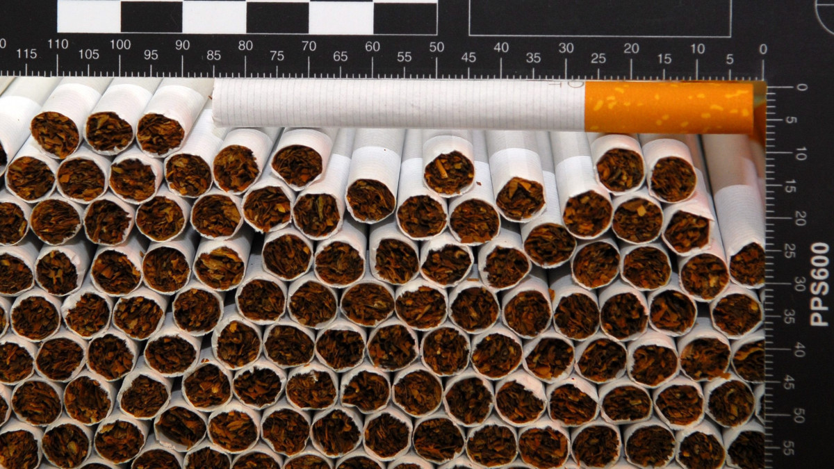 A Nemzeti Adó- és Vámhivatal (NAV) által 2015. február 10-én közreadott képen cigaretták a Vecsésen felszámolt illegális cigarettagyárban. A telephelyen 22 tonna dohányt és 2,3 millió szál cigarettát foglaltak le a pénzügyi nyomozók. Mindebből másfél millió doboz cigarettát lehetett volna előállítani. Az eredetileg az Egyesült Arab Emírségekben gyártott, az angol piacon ismert Golden Mount márkájú cigaretta az angol piacon két és félmilliárd forintot ér.