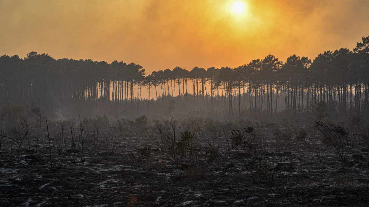 A Gironde megyei tűzoltóság (SDIS 33) által közreadott képen erdőtűz füstje homályosítja el az eget a délnyugat-franciaországi Landira település közelében 2022. július 19-én. A térségben egy hete pusztító két erdőtűz miatt eddig több mint 14 ezer embert kellett biztonságba vinni. A széllökések által szított lángok több mint húszezer hektár földet perzseltek fel.