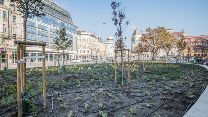 Blaha Lujza tér: egy kis liget Budapest közepén – képek