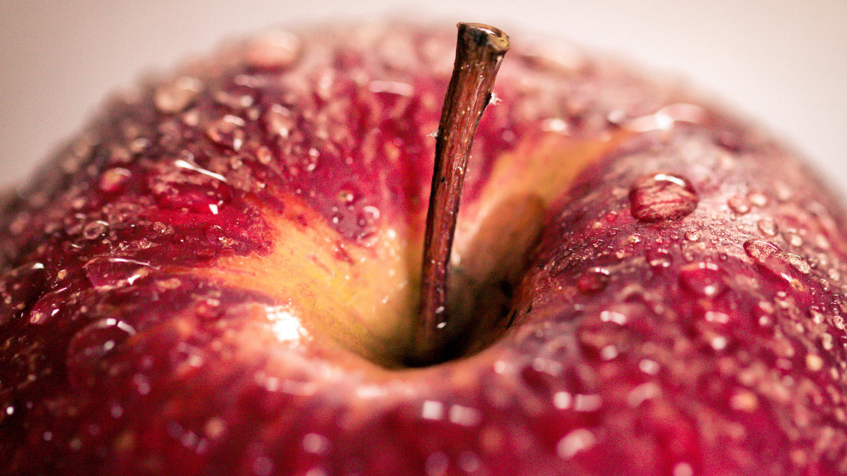 close-up of a red wet apple