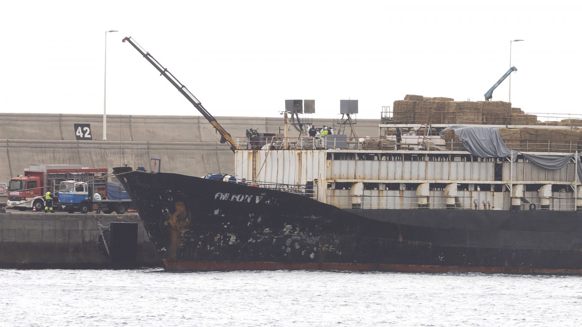 Az Orion V nevű, togói zászló alatt közlekedő teherhajó horgonyoz a Kanári-szigetek névadó tagja, Gran Canaria szigetének Las Palmas-i kikötőjében 2023. január 26-án. A hatóságok 4,5 tonna kokaint foglaltak le Las Palmasban a Latin-Amerikából érkező teherhajón, amelyet már több mint két éve figyeltek és előzőleg többször átkutattak, de január 24-én találtak rajta először kábítószert. A hajó ezúttal élőállatot szállított a Közel-Keletre, a kokaint az állatok etetéséhez használt silókban rejtették el. A spanyol bűnüldöző szervek, az amerikai kábítószer-ellenes hatóság (DEA) és a togói rendőrség közös akciójában a teljes, 28 fős legénységet őrizetbe vették.