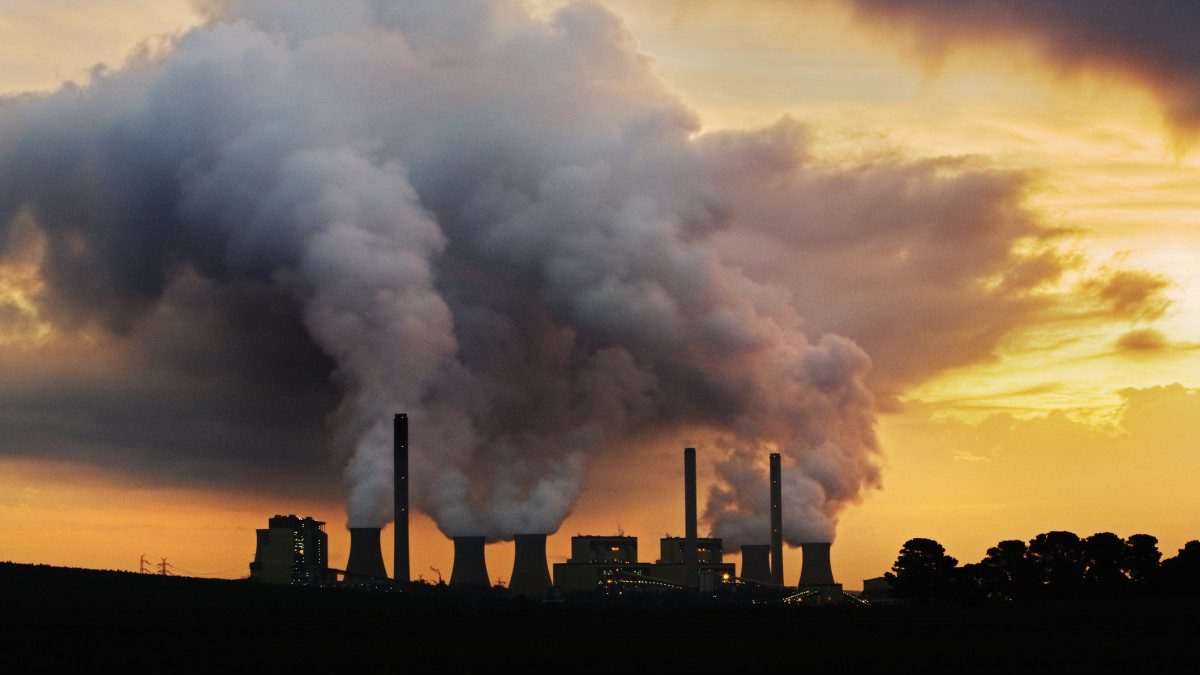 Loy Yang Coal