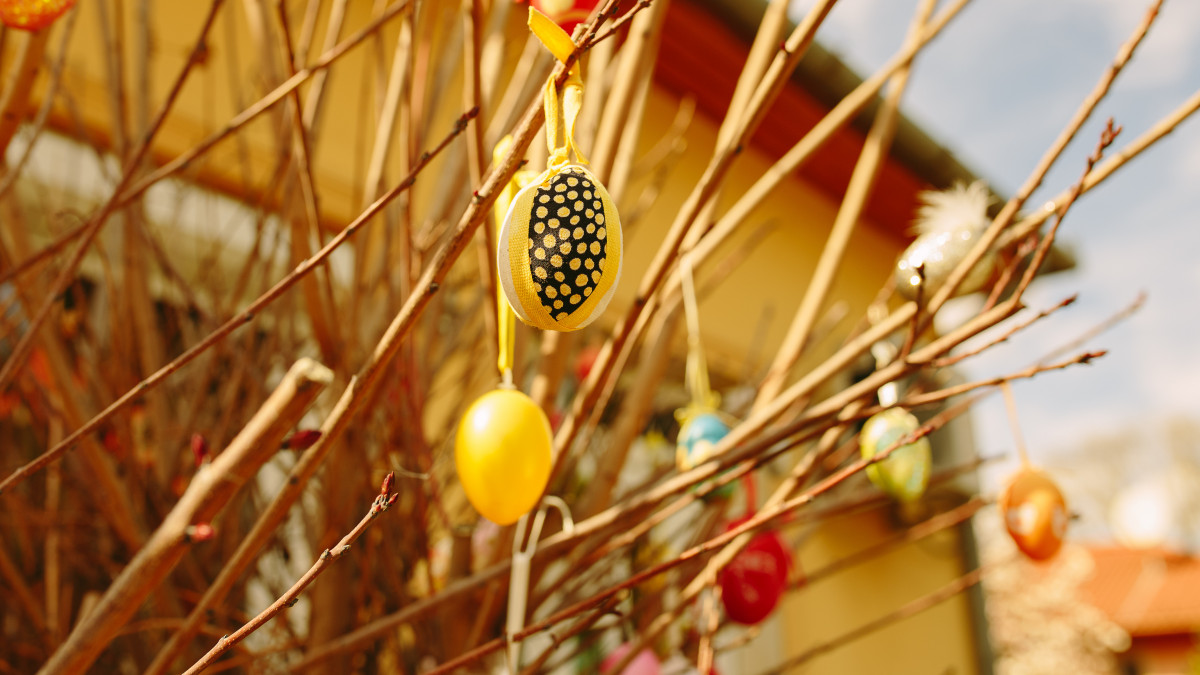 Easter eggs hanging on a tree in a garden at home