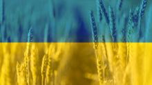 Magosz-figyelmeztetés: a veszélyhelyzet végével megszűnt az ukrán import tilalma is