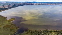 Valami nagyon megváltozott a Balaton vizében