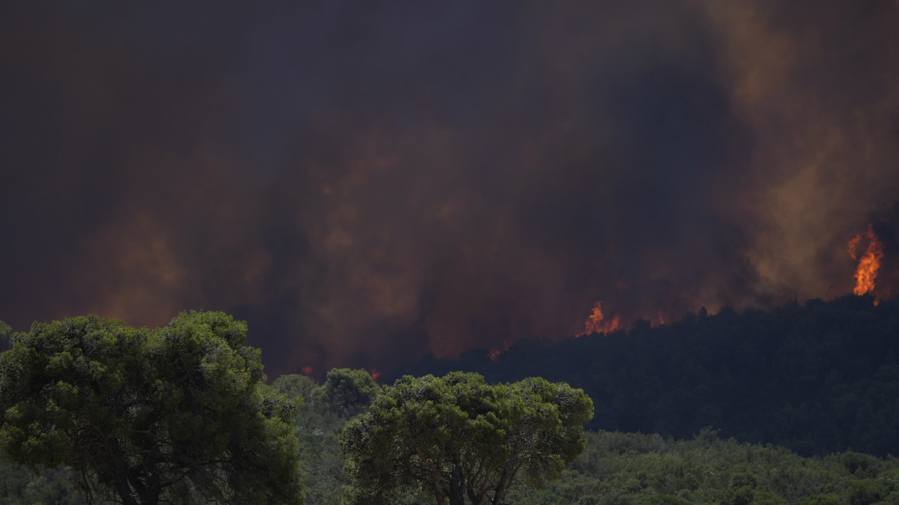 Erdőtűz az Athén közelében fekvő Inoi környékén 2023. július 18-án, amikor második napja pusztítanak lángok a görög főváros környékén.