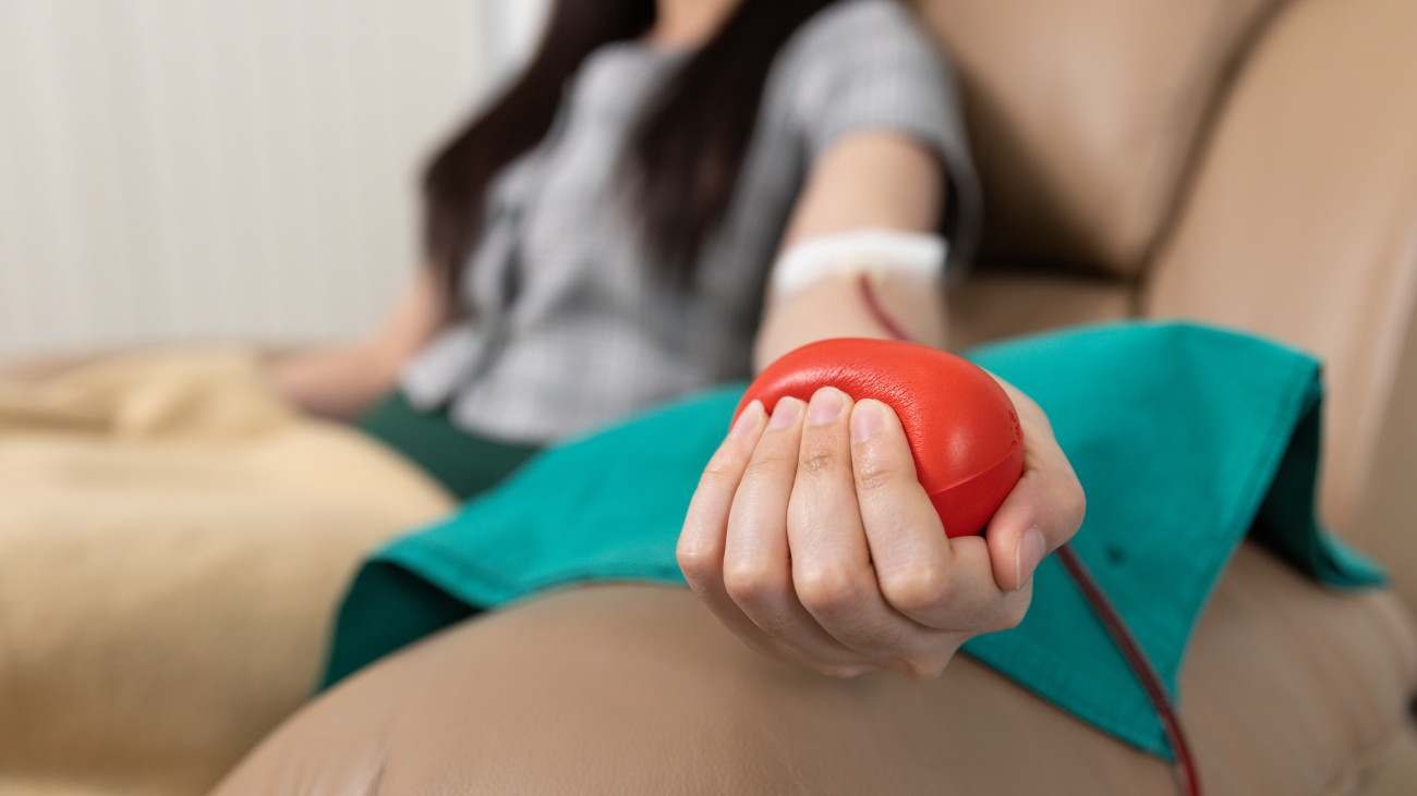 Close up Hand women squeeze the ball for blood to come out easily. Blood Donation and charity concept