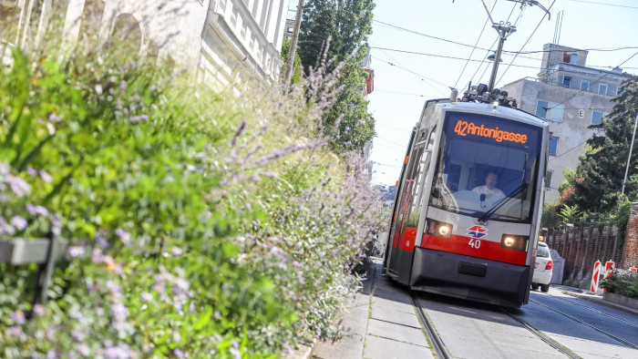 Van, ahol durva büntetést kap, aki autójával belóg a villamos elé