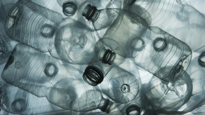 Felfedeztek egy gombát az óceánban, ami képes lebontani a műanyagot