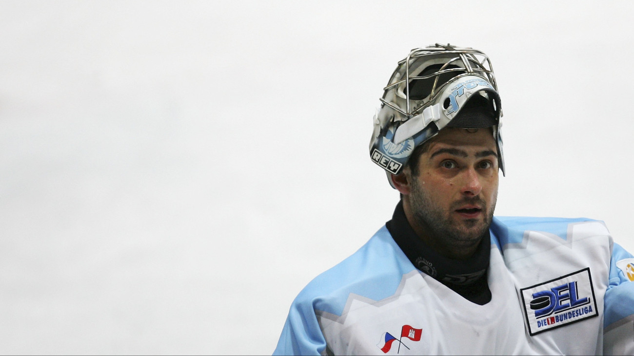 DUSSELDORF, GERMANY - MARCH 23:  Roman Cechmanek of Hamburg Freezers looks on during the DEL Bundesliga Play Off quarter final match between DEG Metro Stars and Hamburg Freezers at the Brehmerstrasse Hall on March 23, 2006 in Dusseldorf, Germany.  (Photo by Vladimir Rys/Bongarts/Getty Images)