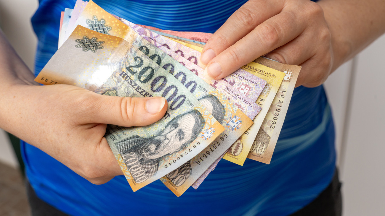 Hungarian forint, A woman holds a file with money in her hand, Financial and budget concept