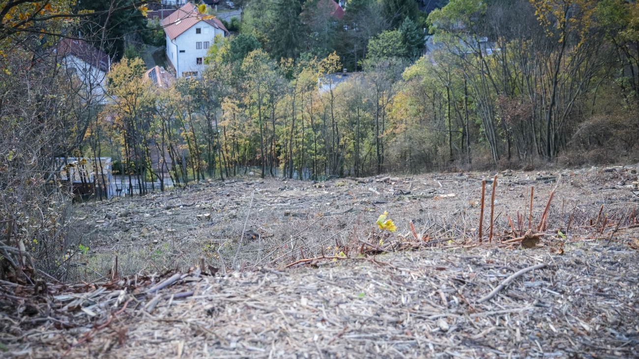 fotó: Őrsi Gergely Facebook-oldala