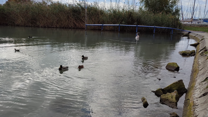 Hamarosan kiönthet a Balaton, készülni kell a leengedésre