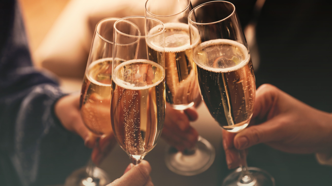 People clinking glasses with sparkling wine indoors , closeup