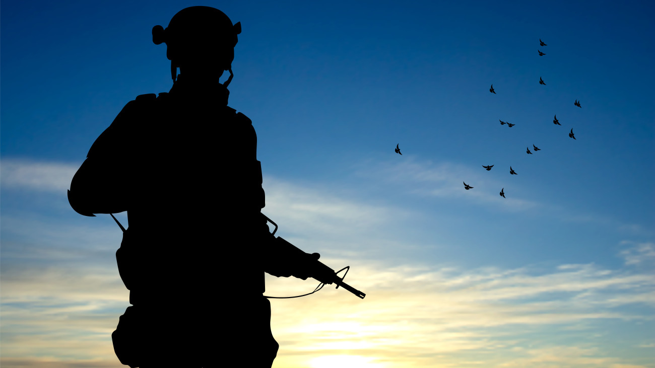 Silhouette of soldier on background of sky. Military background. Armed Forces concept. EPS10 vector